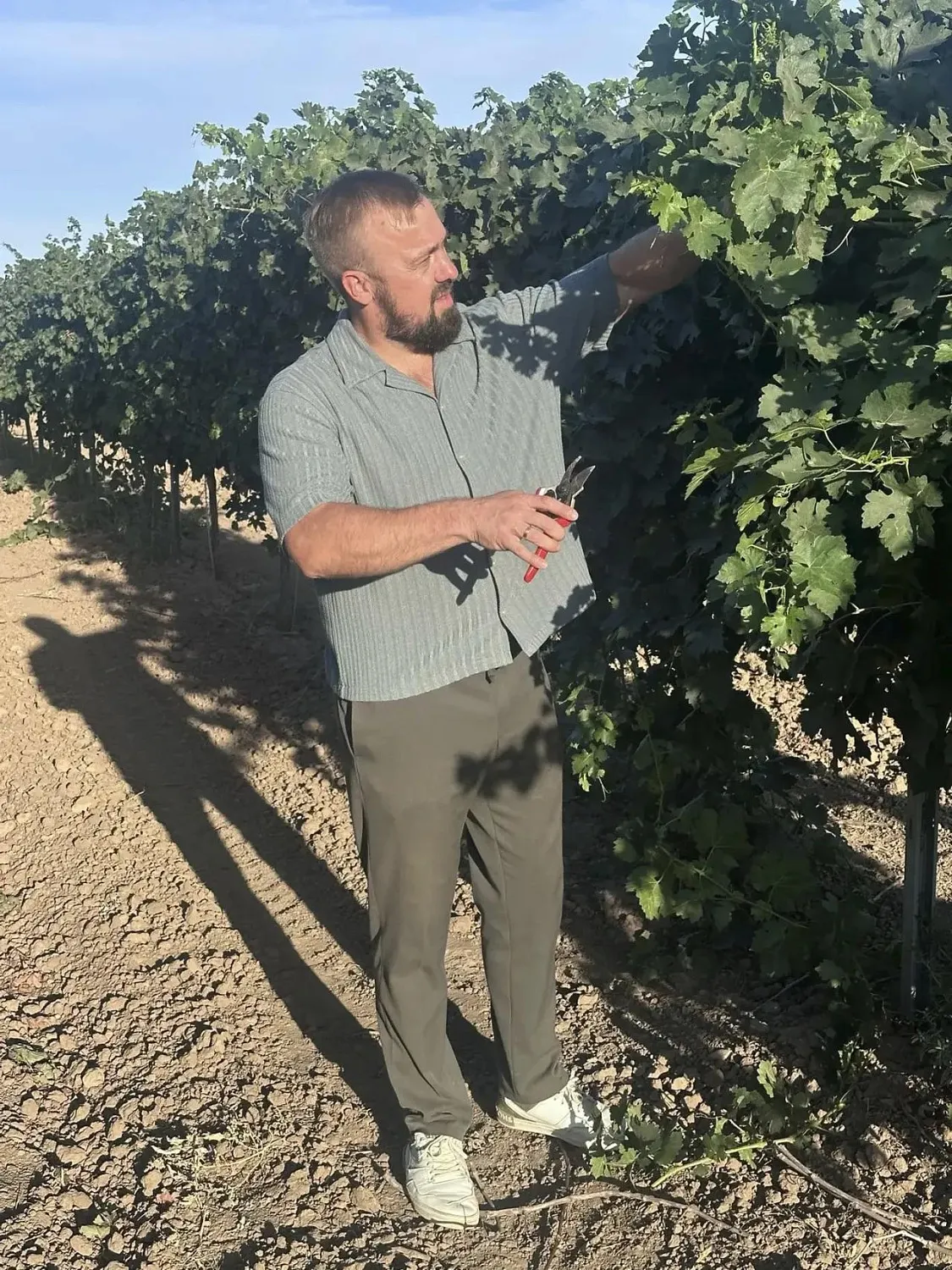 RIKHARD Winery